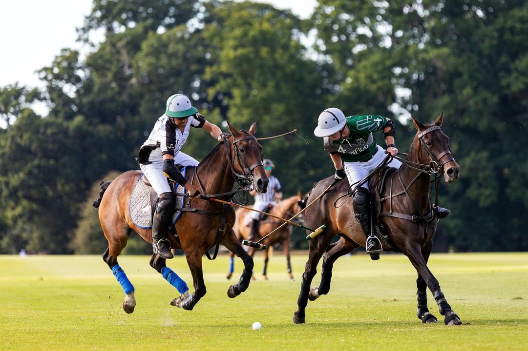 Equestrian Community