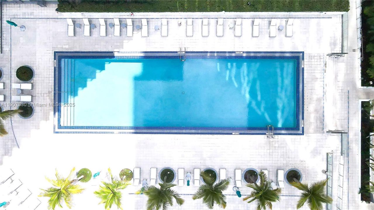 最近租的: $2,950 (1 贝兹, 1 浴室, 705 平方英尺)