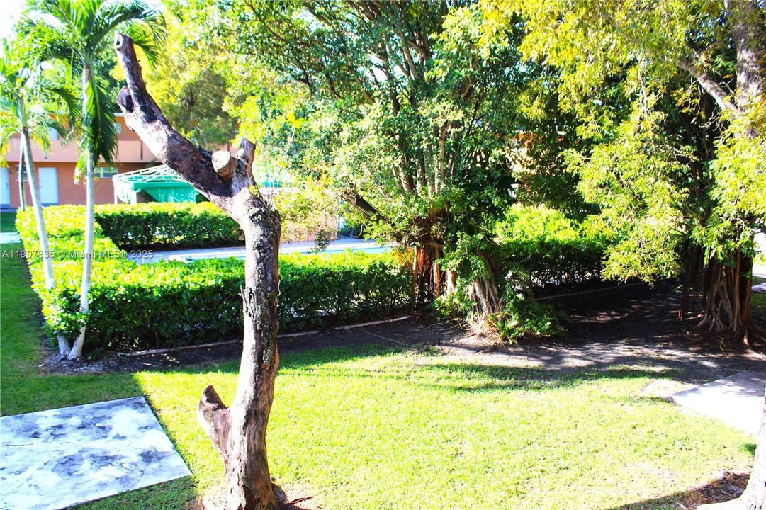 For Rent: $1,900 (2 beds, 1 baths, 765 Square Feet)