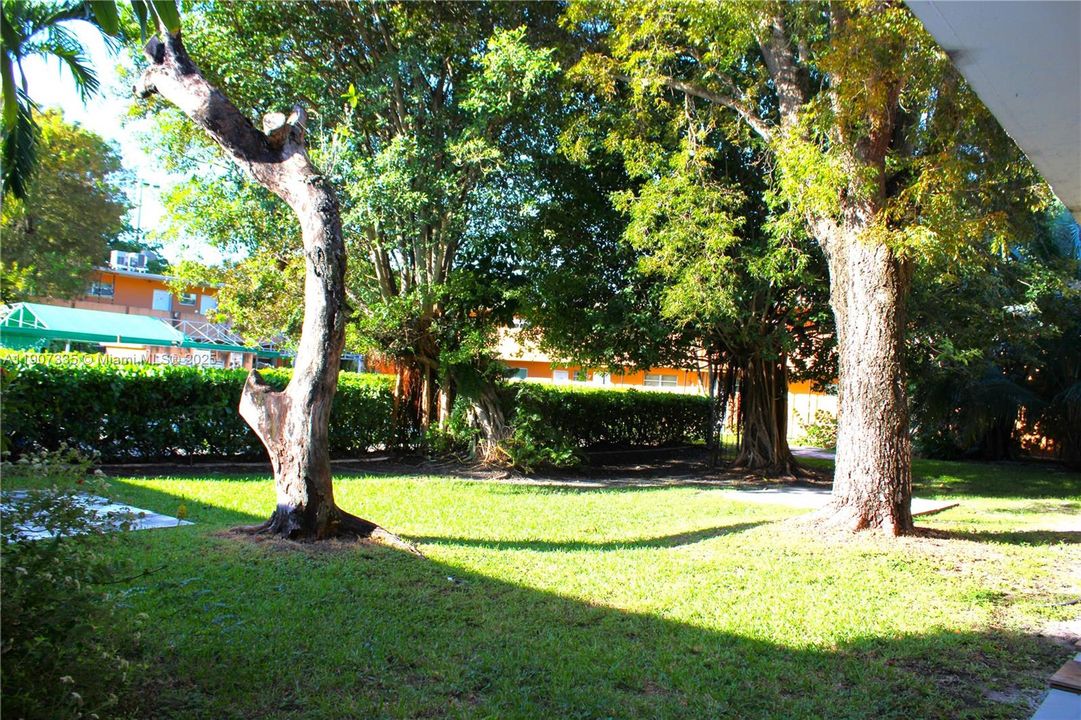 For Rent: $1,900 (2 beds, 1 baths, 765 Square Feet)