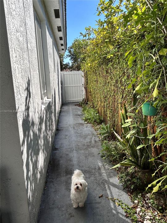 待售: $739,700 (4 贝兹, 2 浴室, 1932 平方英尺)