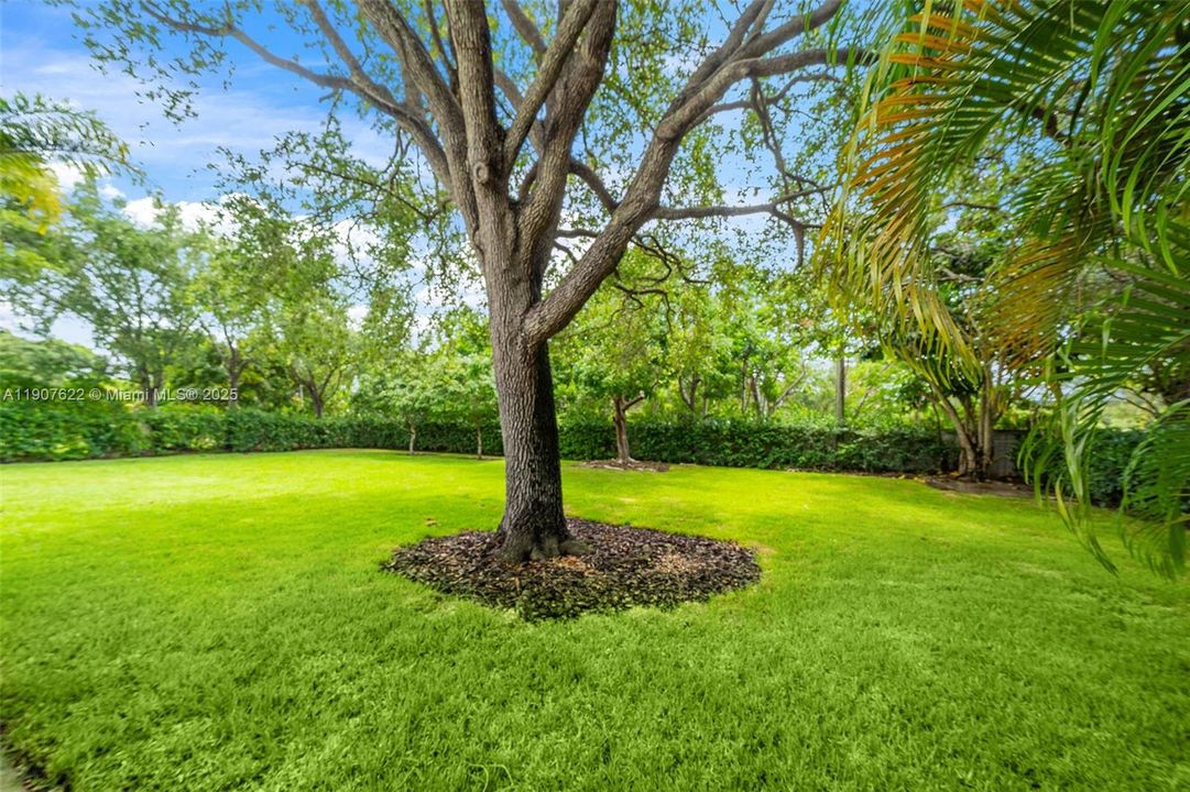 For Rent: $12,000 (5 beds, 3 baths, 2438 Square Feet)