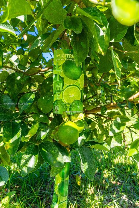 En Venta: $17,499,999 (14.30 acres)