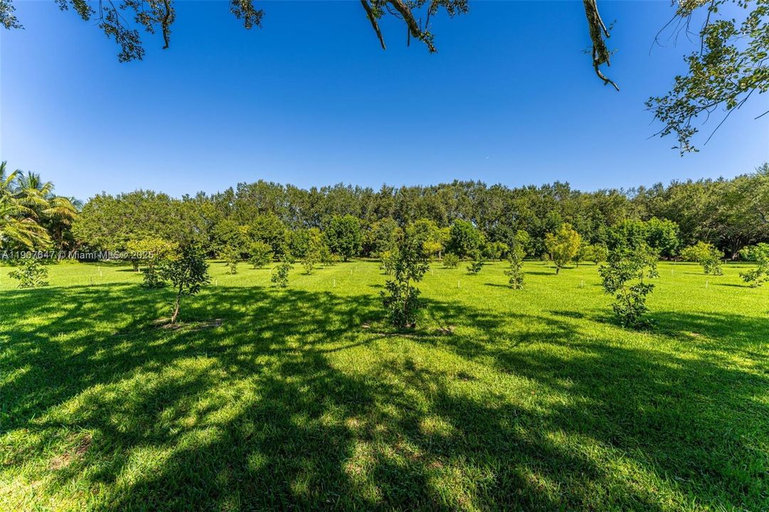 En Venta: $17,499,999 (14.30 acres)