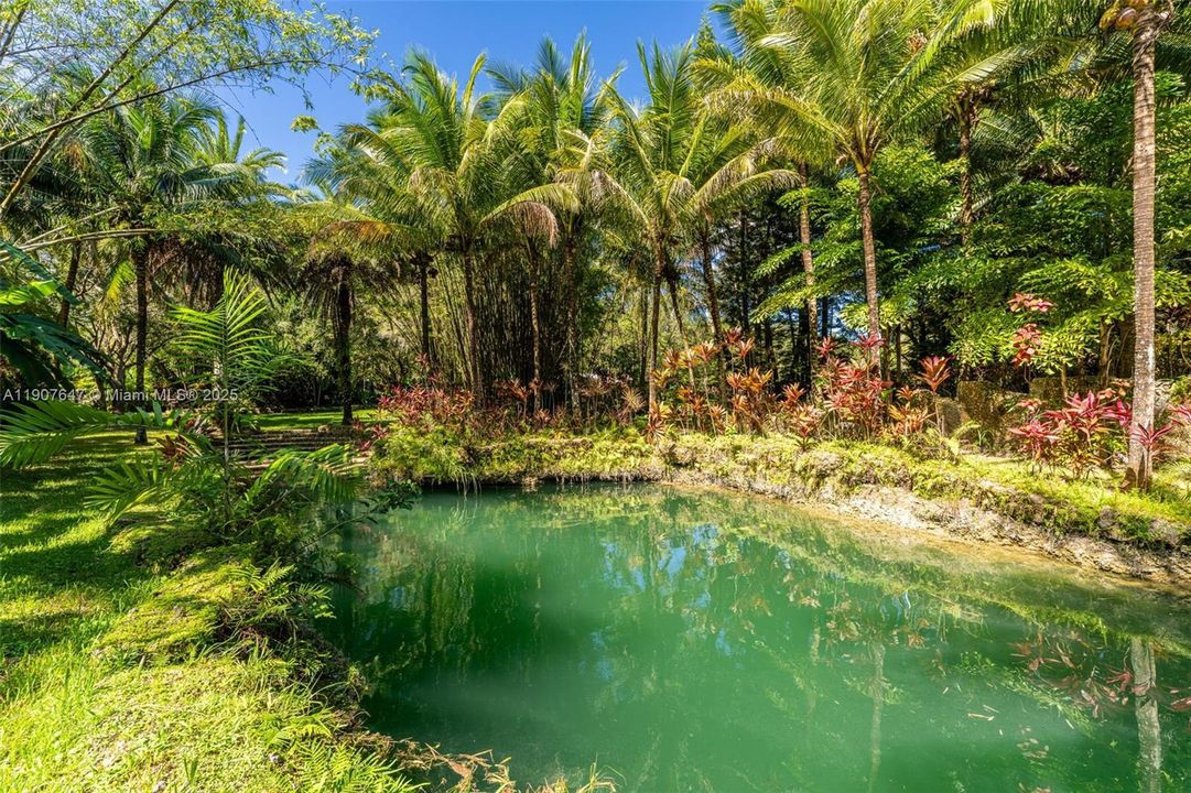 En Venta: $17,499,999 (14.30 acres)