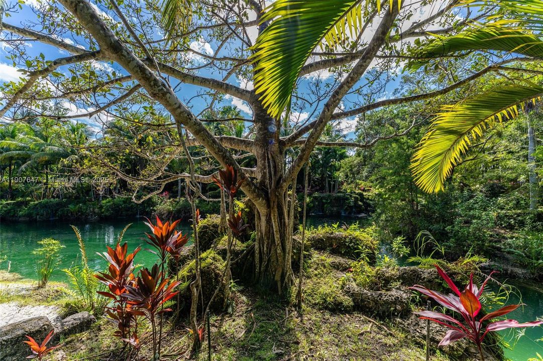 En Venta: $17,499,999 (14.30 acres)