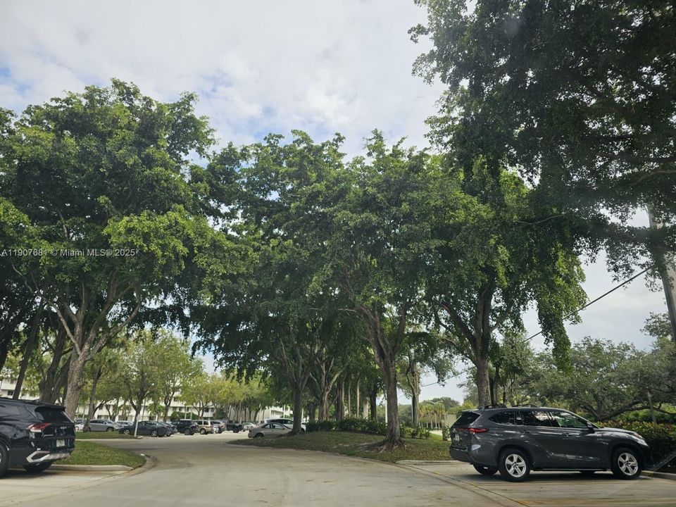 Под контрактом: $2,000 (2 спален, 2 ванн, 1442 Квадратных фут)