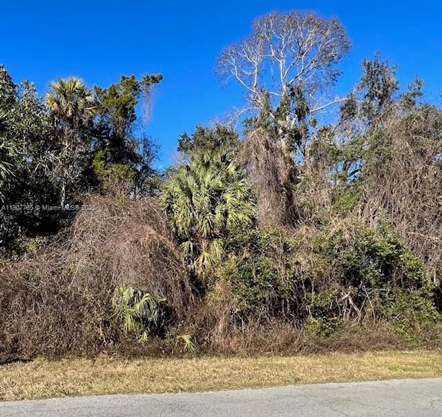 待售: $9,088 (0.60 acres)