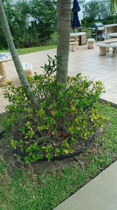 Active With Contract: $1,650 (2 beds, 2 baths, 900 Square Feet)