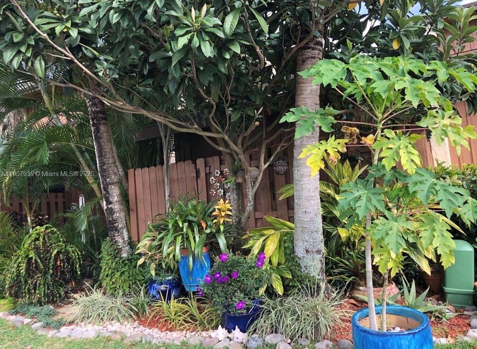 Lush, tropical entry surrounded by vibrant greenery and colorful planters a truly magical welcome that sets the tone for this serene lakeside retreat