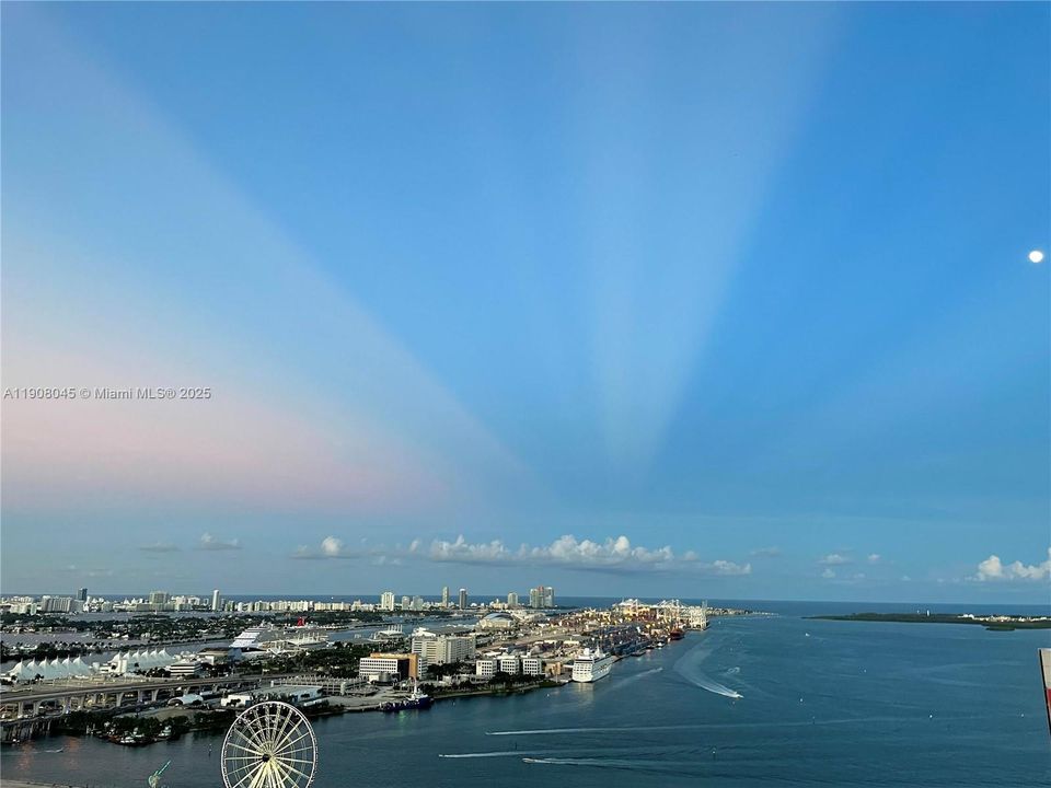 出租: $2,600 (1 贝兹, 1 浴室, 632 平方英尺)