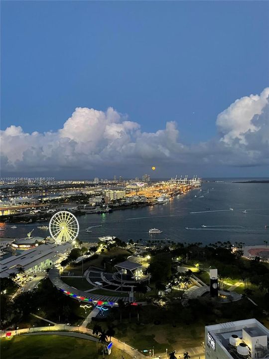 出租: $2,600 (1 贝兹, 1 浴室, 632 平方英尺)