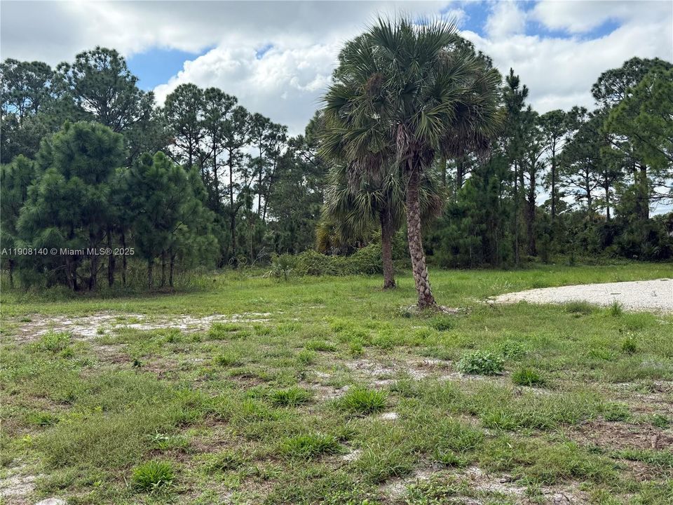 待售: $249,999 (3 贝兹, 2 浴室, 952 平方英尺)