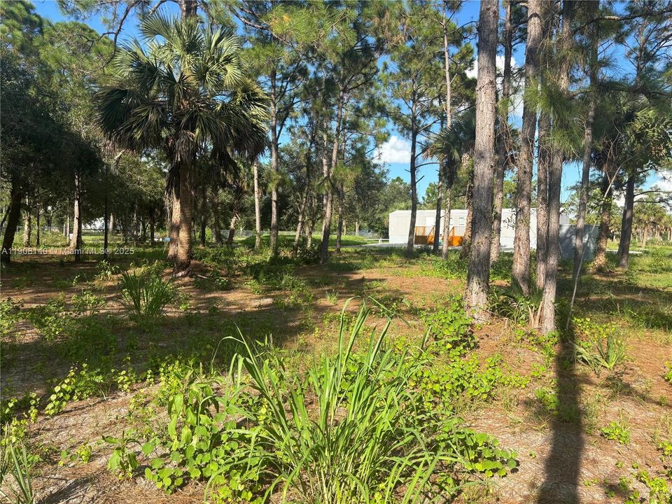 待售: $249,999 (3 贝兹, 2 浴室, 952 平方英尺)