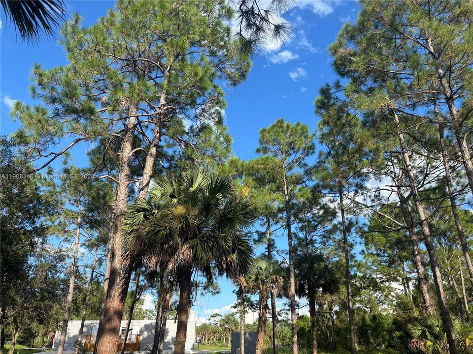 待售: $249,999 (3 贝兹, 2 浴室, 952 平方英尺)