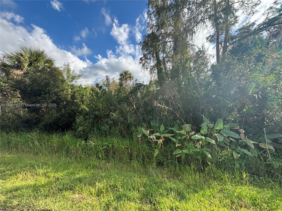 待售: $90,000 (1.14 acres)