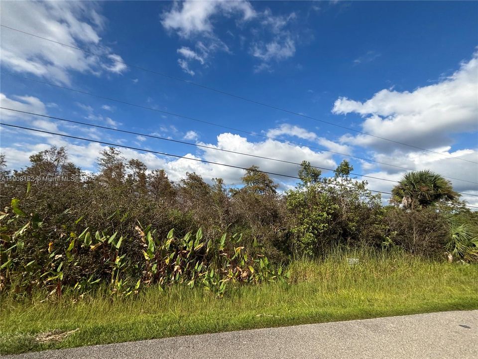 待售: $90,000 (1.14 acres)