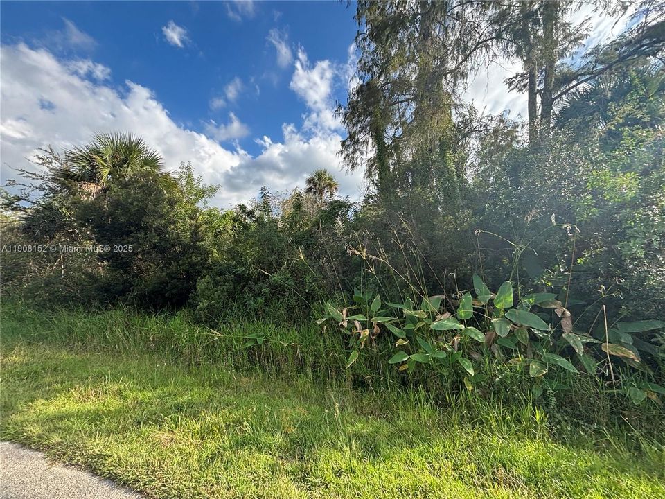 待售: $90,000 (1.14 acres)