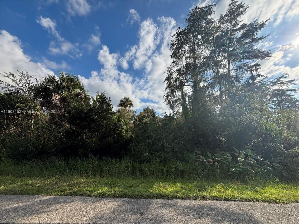 待售: $90,000 (1.14 acres)