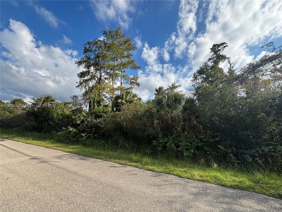 待售: $90,000 (1.14 acres)