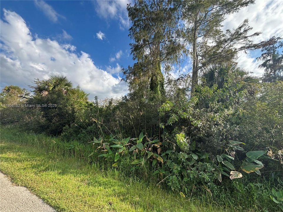 待售: $90,000 (1.14 acres)