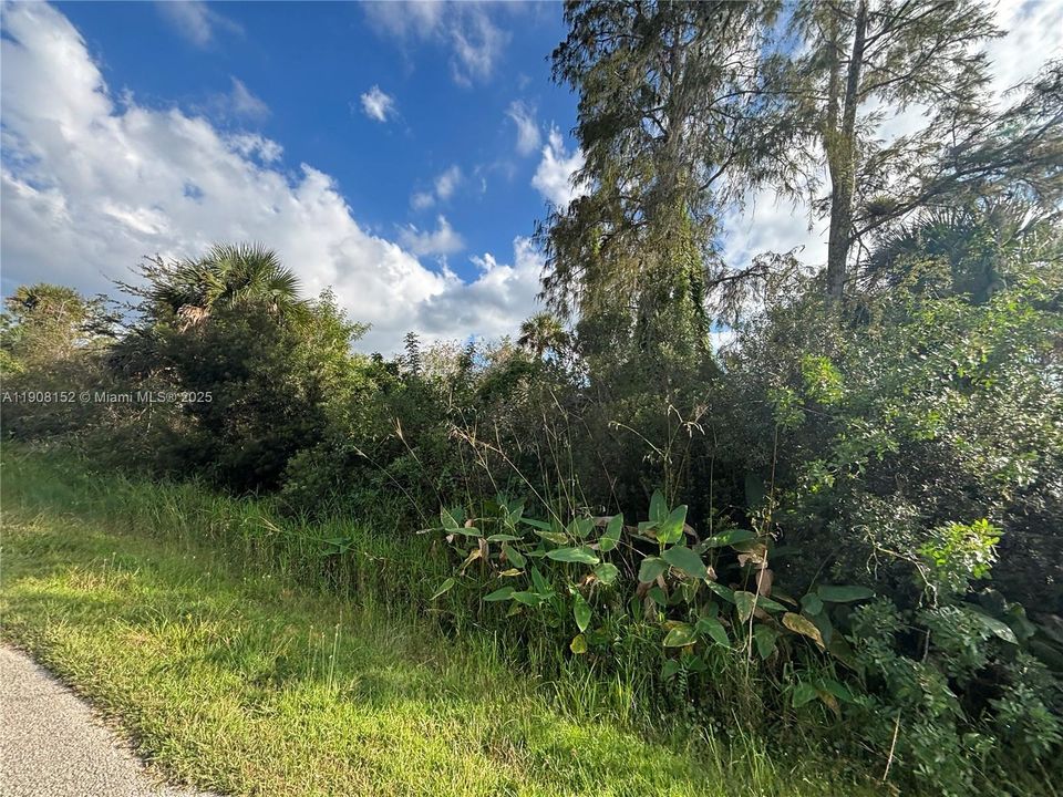 待售: $90,000 (1.14 acres)