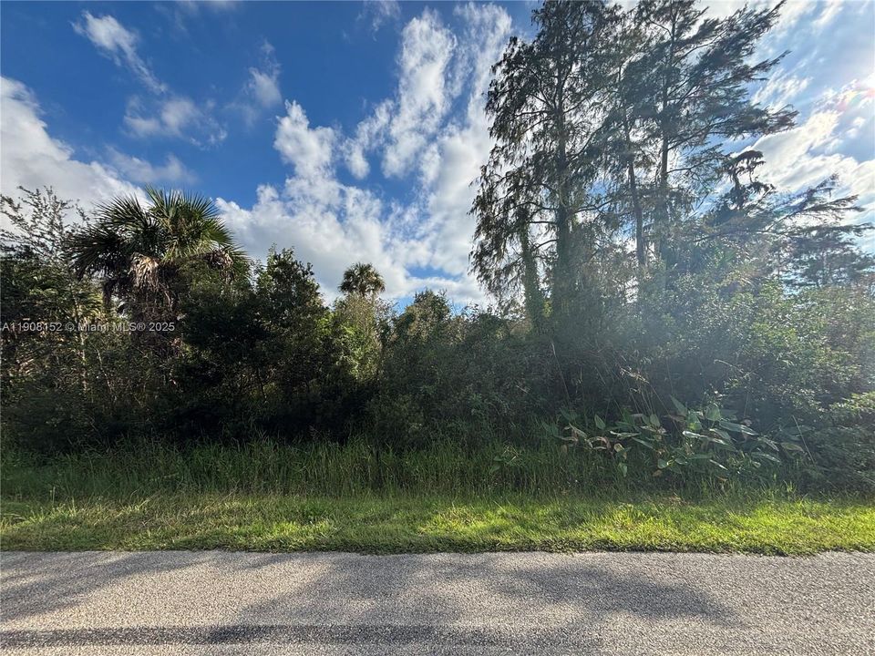 待售: $90,000 (1.14 acres)