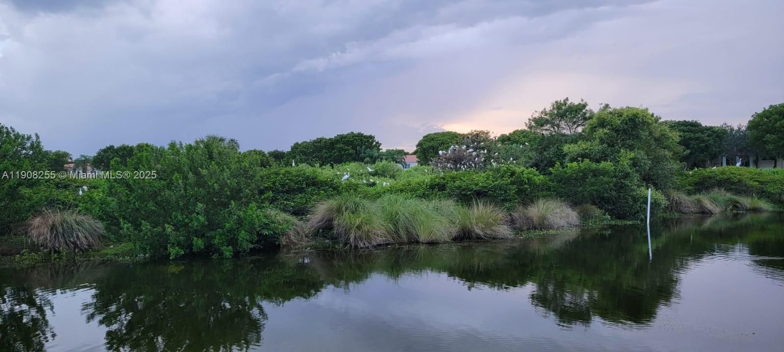 最近租的: $2,100 (1 贝兹, 1 浴室, 850 平方英尺)