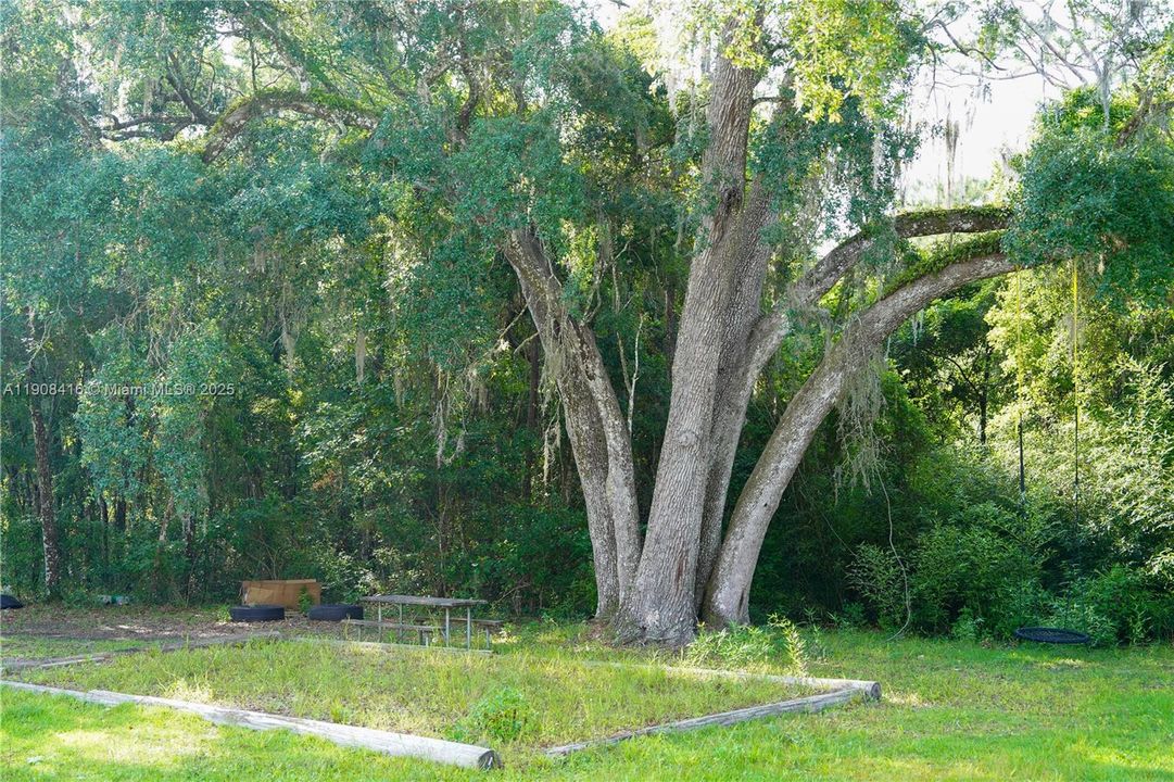 待售: $560,000 (3 贝兹, 2 浴室, 0 平方英尺)