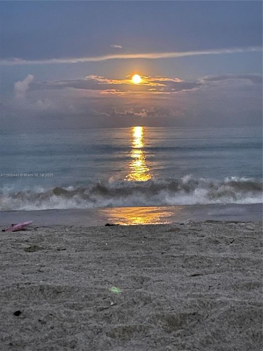 Full Moon RisingHollywood Beach