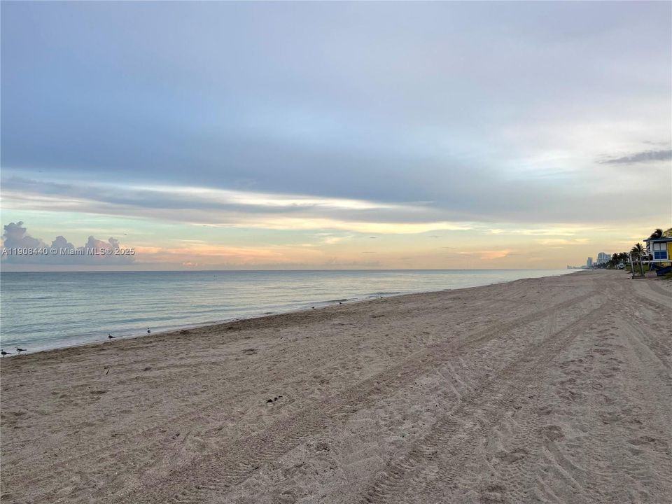 Hollywood Beach View