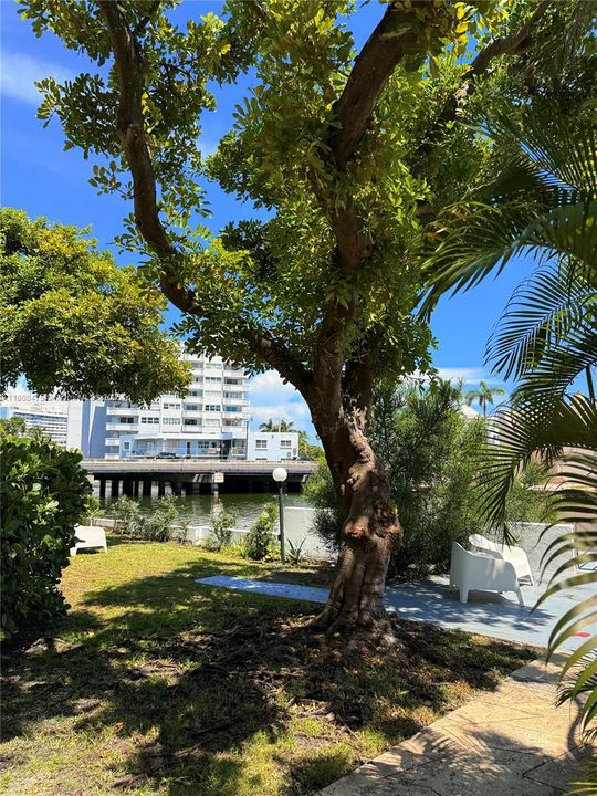 En Renta: $1,900 (1 camas, 1 baños, 700 Pies cuadrados)