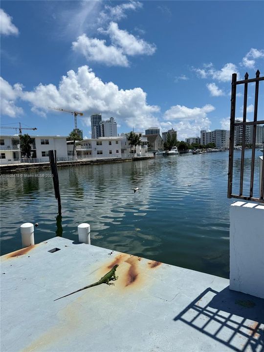 En Renta: $1,900 (1 camas, 1 baños, 700 Pies cuadrados)