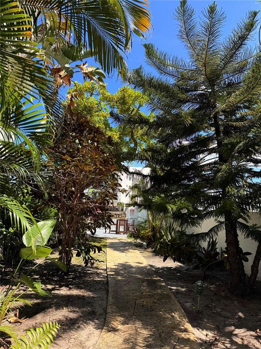 En Renta: $1,900 (1 camas, 1 baños, 700 Pies cuadrados)