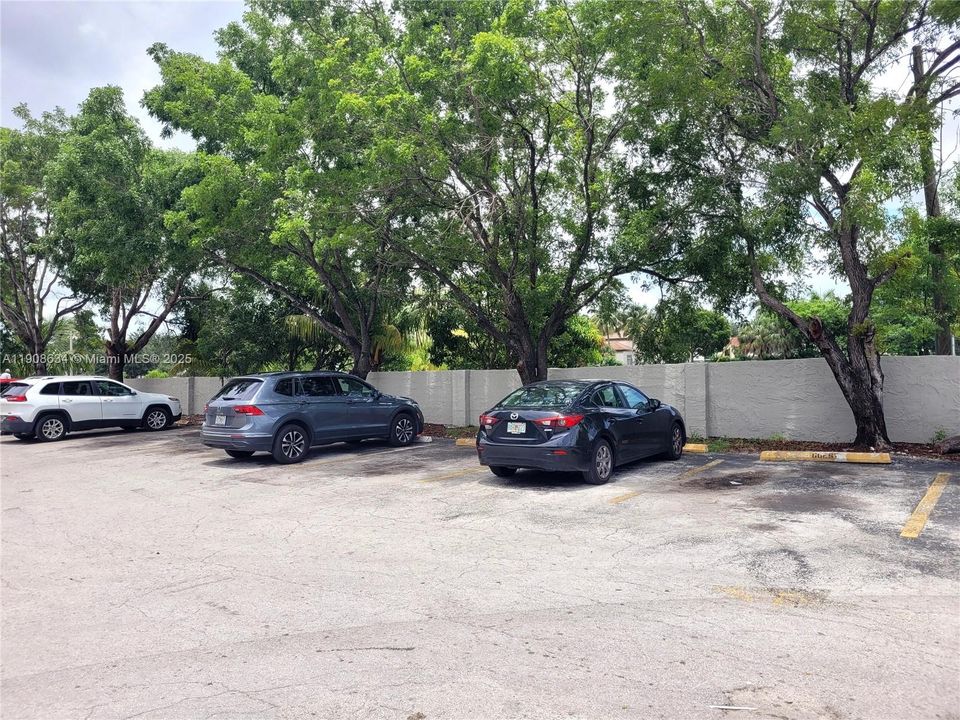 Activo con contrato: $1,675 (1 camas, 1 baños, 640 Pies cuadrados)