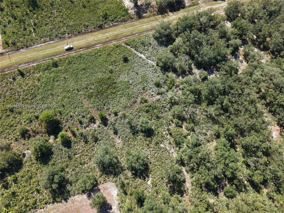 待售: $42,000 (1.25 acres)