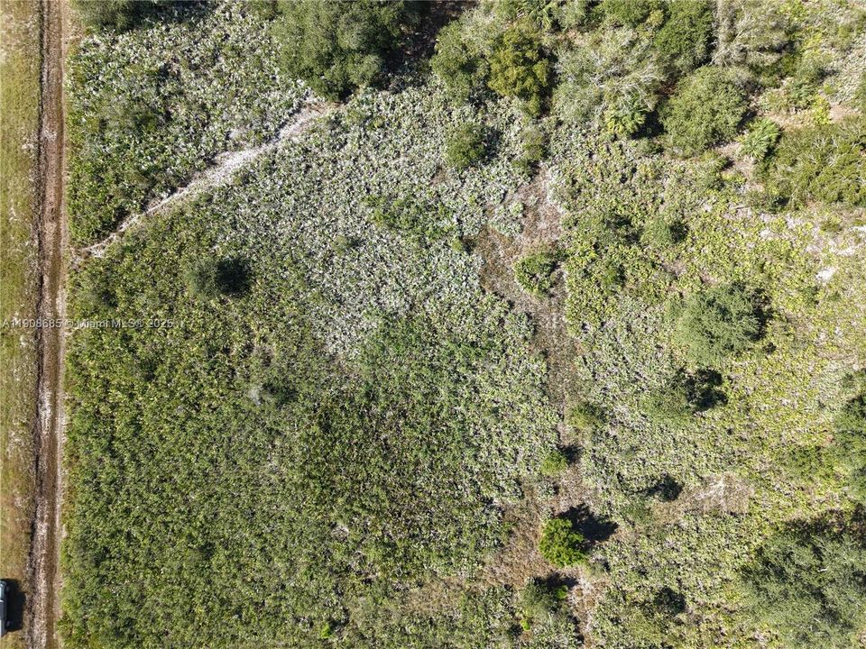 待售: $42,000 (1.25 acres)