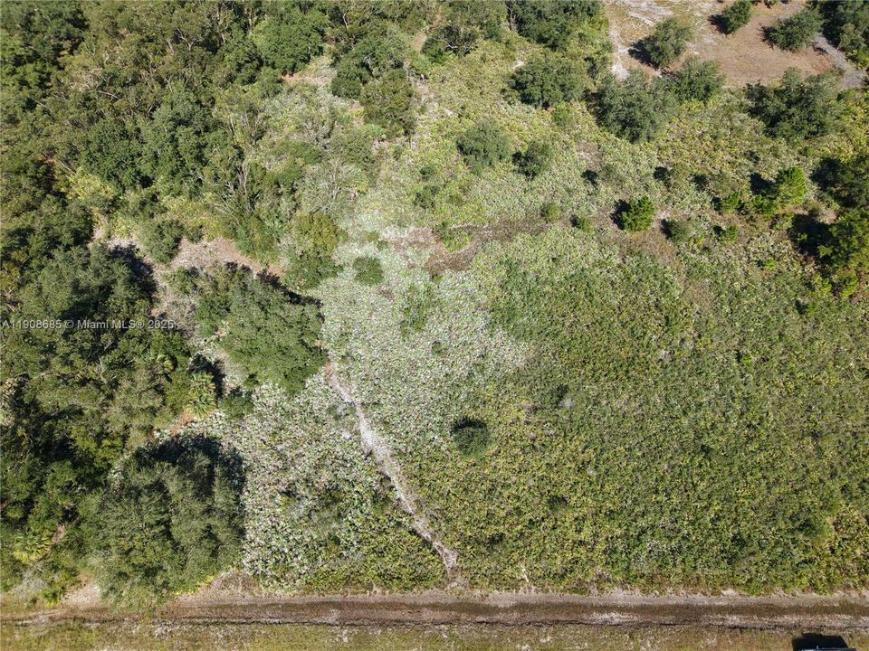 待售: $42,000 (1.25 acres)