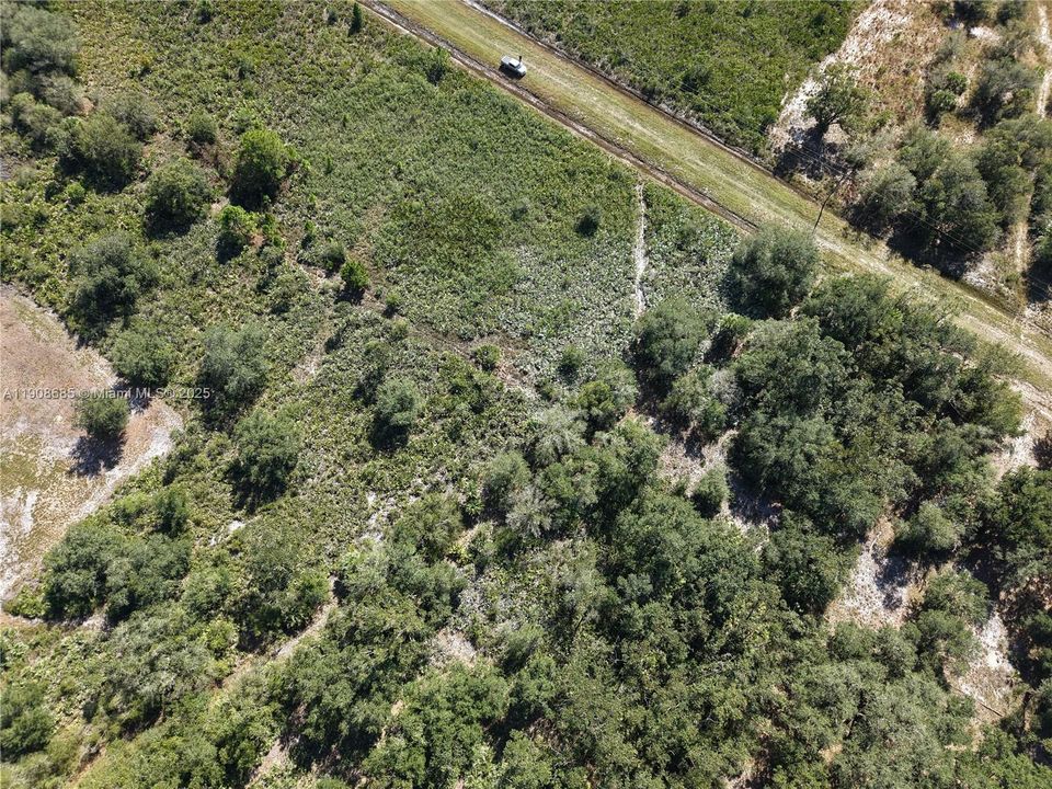 待售: $42,000 (1.25 acres)