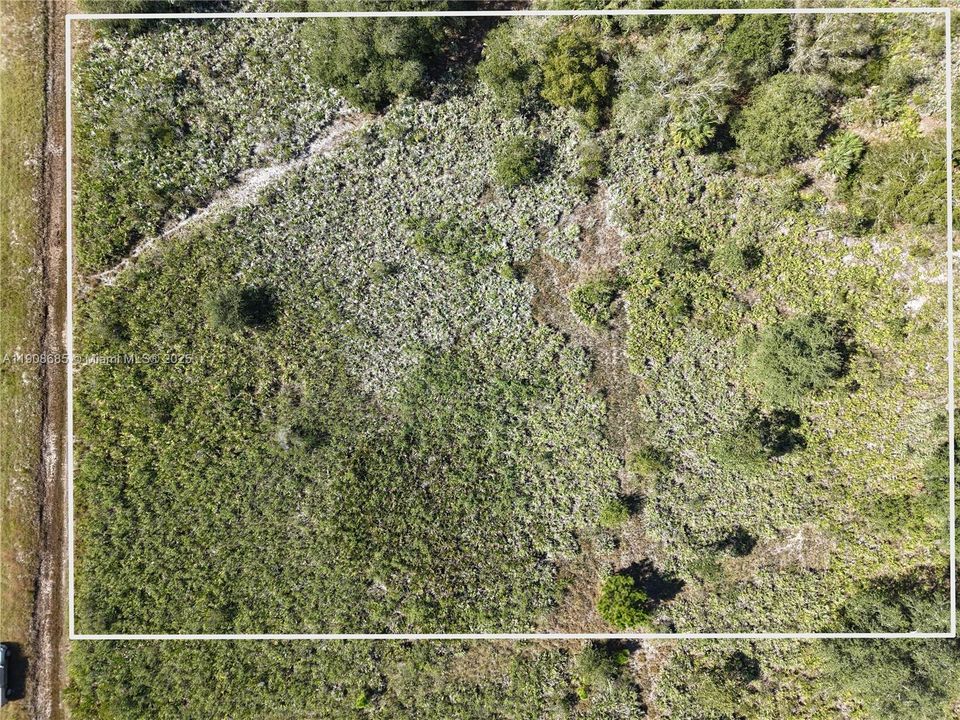 待售: $42,000 (1.25 acres)