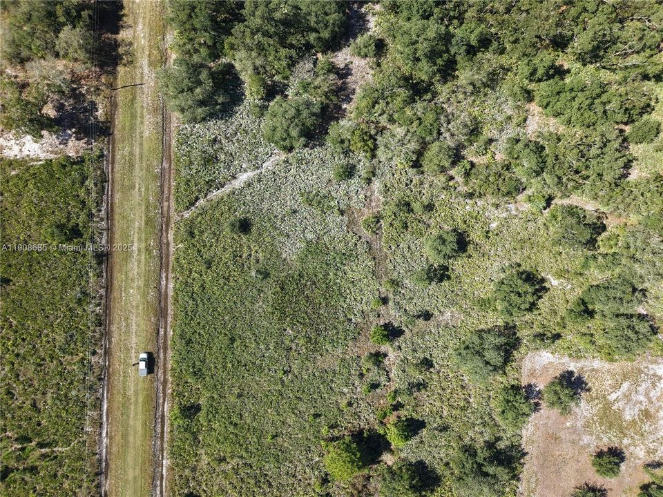 待售: $42,000 (1.25 acres)