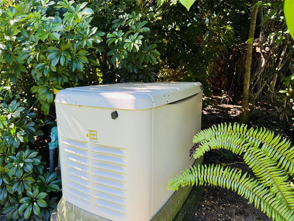 22KW Whole House Generator