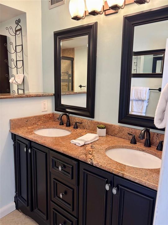Primary Bathroom Sinks