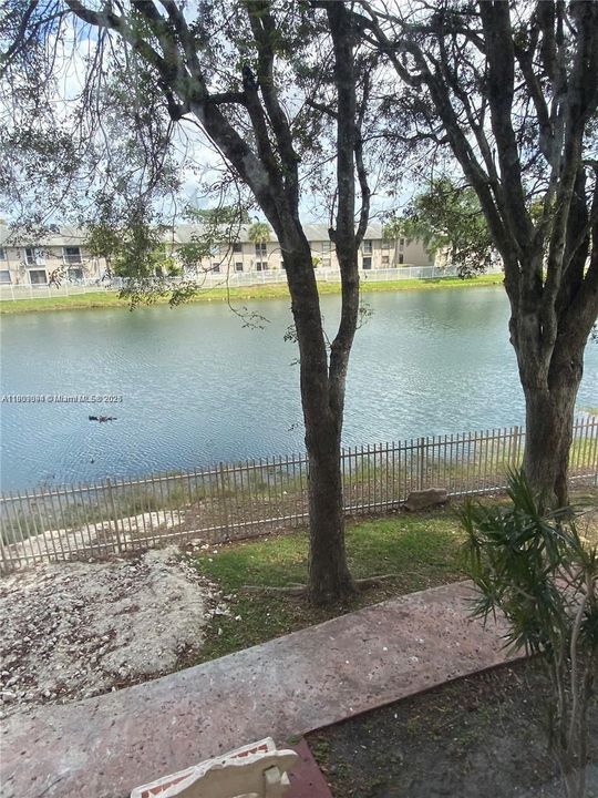 Недавно арендовано: $2,300 (2 спален, 2 ванн, 887 Квадратных фут)