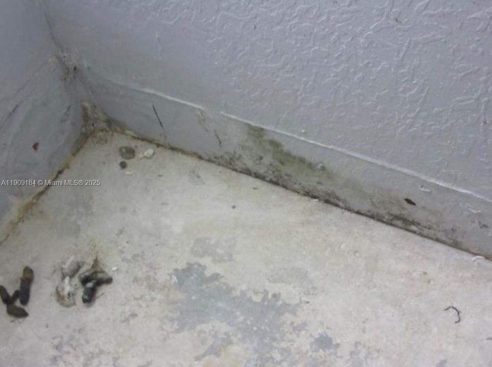 Active With Contract: $215,000 (4 beds, 2 baths, 1595 Square Feet)