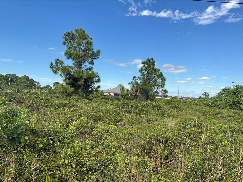 For Sale: $24,500 (0.25 acres)