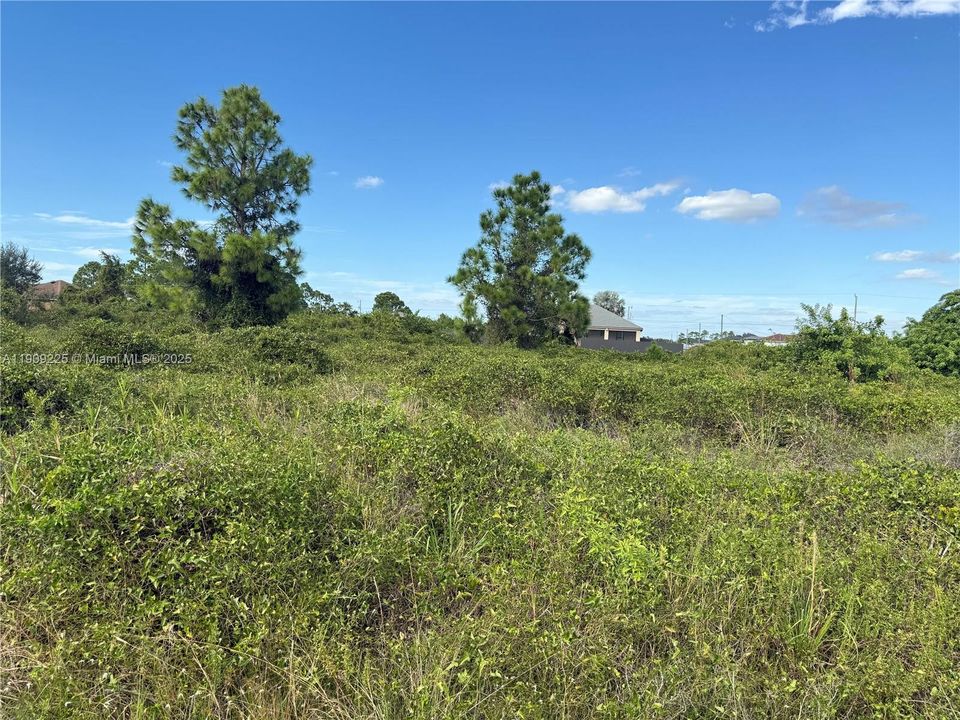 For Sale: $24,500 (0.25 acres)