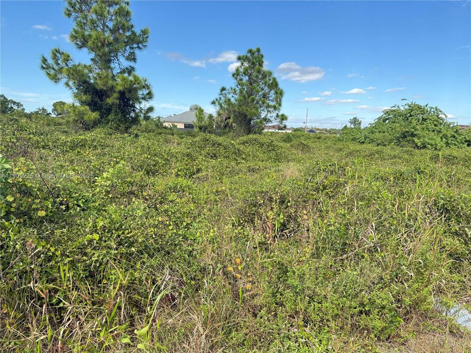 For Sale: $24,500 (0.25 acres)