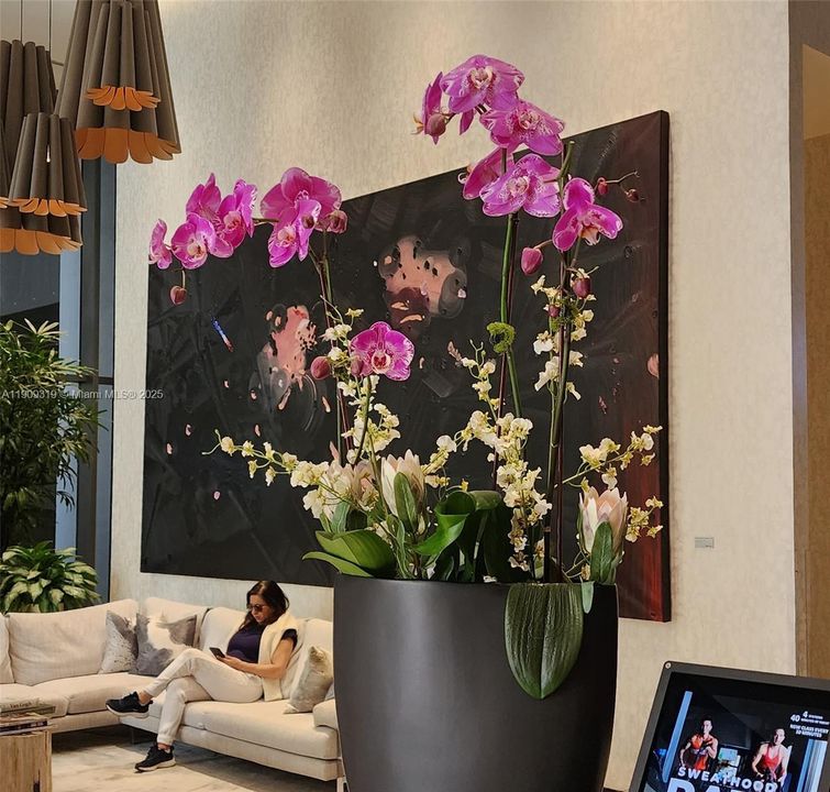 Recientemente alquilado: $3,400 (1 camas, 1 baños, 620 Pies cuadrados)