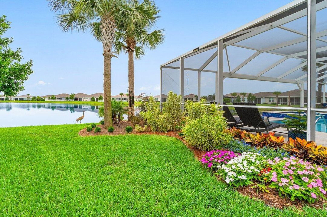 Side Yard